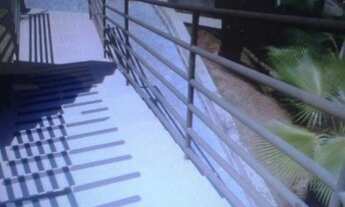 Imagem 2: JUNDIAÍ - Apartamento Padrão - VILA MAFALDA