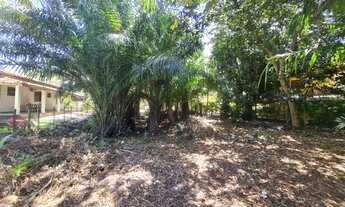 Imagem 4: Lote/Terreno para venda de 800 m2 em Barra Grande - Maraú - Bahia