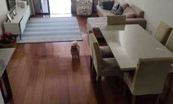 Imagem: Rio de Janeiro - Apartamento Padrão - Recreio