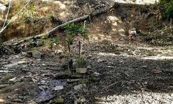 Imagem 7: Lote/Terreno para venda no Frade - Macaé/RJ