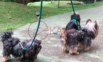 Imagem 7: Venda, Apartamento no Alpha Park, Barueri