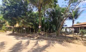 Imagem 2: Lote/Terreno para venda de 800 m2 em Barra Grande - Maraú - Bahia