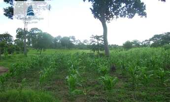 Imagem 2: Fazenda para Venda em Interior Poconé-MT