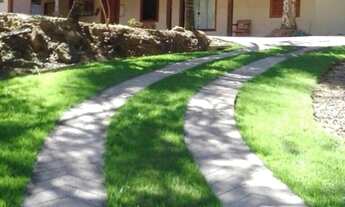 Imagem: Fazenda/Sítio/Chácara para venda tem 300