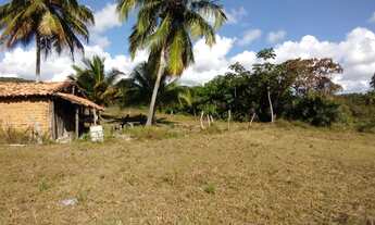 Imagem 2: Área rural 106 hectares em Conde Bahia