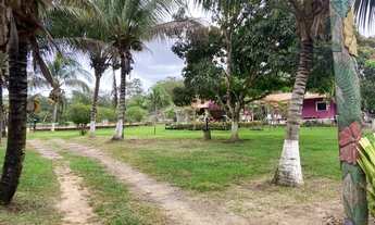 Imagem 7: Arembepe - Sítio todo plano 9.000m², Paz, conforto e sossego total! - Oportunidade