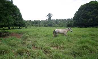 Imagem 6: Fazenda Maravilhosa em Barão de Melgaço MT