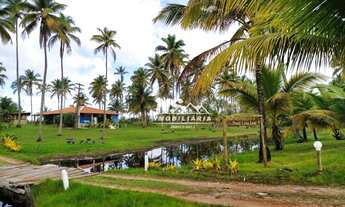 Imagem: Terreno na Praia