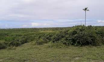 Imagem 5: Área Frontal 36000 m² em Barra do Itariri