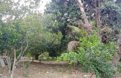 Imagem 2: Maravilhoso sitio - Saquarema - RJ