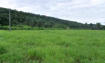 Imagem 5: Fazenda Maravilhosa em Barão de Melgaço MT