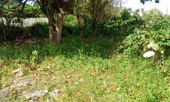 Imagem 7: Terreno na Martin de Sa em Caraguatatuba