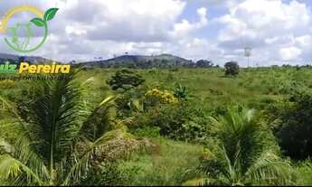 Imagem 5: FAZENDA À VENDA EM PACAJÁ - PA - 2.207,07 HECTARES (DUPLA APTIDÃO
