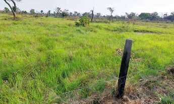 Imagem: Fazenda em Santo Antonio de Leverger