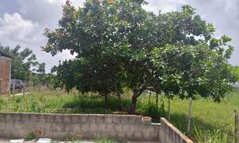 Imagem 5: Casa Casa com 1 dormitório