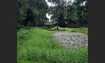 Imagem 3: Sítio em Barcarena localização privilegiada