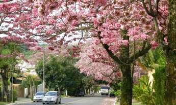 Imagem 6: Casa - Loteamento Caminhos de São Conrado (Sousas) - Campinas