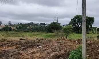 Imagem 4: TERRENO EM COLOMBO- ROÇA GRANDE- 360m2