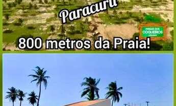 Imagem: Loteamento Parque dos Coqueiros em Paracuru