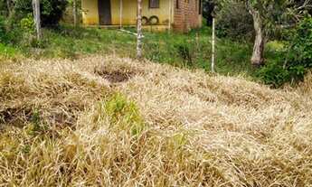 Imagem 4: Vendo excelente fazenda agricultura em Valença