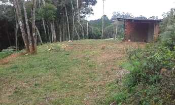 Imagem 5: Vende-se chácara em formação