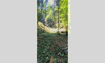 Imagem 6: Vendo Terreno na cidade de Teresópolis