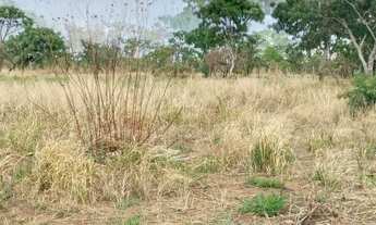 Imagem 2: Fazenda/Sítio/Chácara para venda possui 5000 metros quadrados em Ceilândia Norte - Brasíli