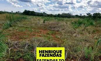 Imagem 6: Fazenda argilosa a venda No Tocantins 310 alqueires valor 65 mil por alqueires,..