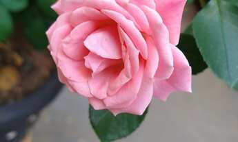 Imagem 3: Fazenda em Grão Mogol-MG