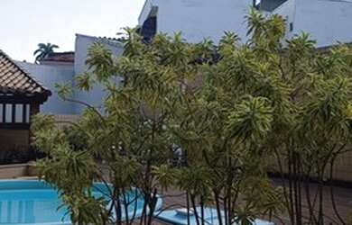 Imagem 4: JardimGuanabara, Excelente 3 quartos sendo 2 suites com varandão e 2 vagas e boxe privativ