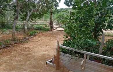 Imagem 4: Sítio Chácara com venda por R$420.000