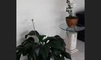 Imagem 6: APARTAMENTO - SAÚDE - SP