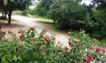 Imagem: Alugo Quarto Hotel amp Pousada BR 020