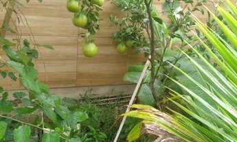 Imagem 6: Casa com piscina e poço artesiano