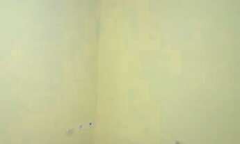 Imagem 4: CASA TÉRREA PARA LOCAÇÃO - IPIRANGA