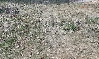 Imagem 7: Terreno - João Aranha - Paulínia