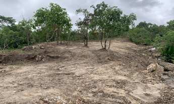 Imagem 5: Chácara 4000m², Energia, Terra Mista, Agua, Arborizada, Entre Guapó e Aragoiânia