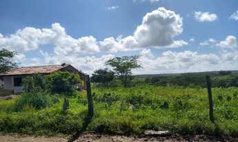 Imagem 2: Fazenda/Sítio Fazenda / sítio com venda por R$300.000