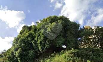 Imagem 3: Terreno-São Paulo-VILA GUILHERME