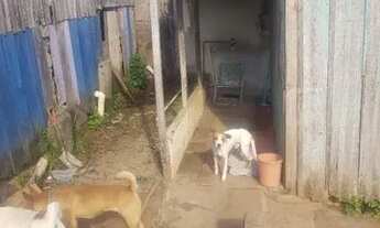 Imagem 7: Casa a venda Casa com 2 dormitórios