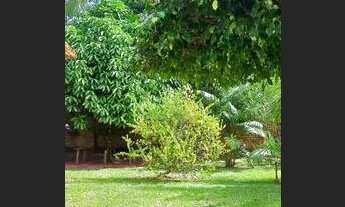 Imagem 5: Alugo casa em Mosqueiro