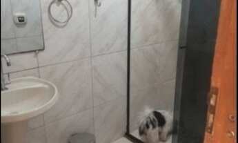 Imagem 3: CASA EM CAPIM MACIO