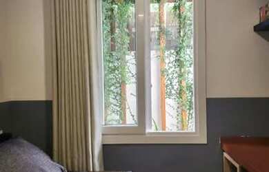 Imagem 3: Zilda Arns 70418