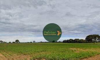 Imagem 7: Fazenda à venda, 10890000 m² por R$ 170.000.000 - Centro - Pium/TO