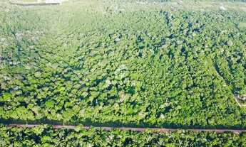 Imagem 7: Terreno 37000 m2 Ramal Ponte Preta Iranduba