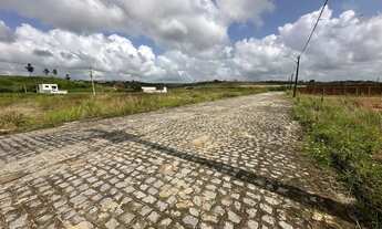 Imagem 3: Lote para venda possui 16x20 com 320 metros quadrados em Praia do Frânces - Marechal Deodo