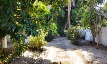 Imagem 6: Sitio na zona sudeste de Teresina-PI