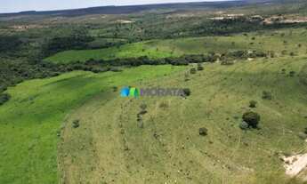 Imagem 6: FAZENDA À VENDA - 273 HECTARES - TRÊS MARIAS (MG