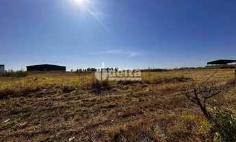 Imagem 6: Área com 1.000m² disponível para venda no bairro Centro Empresarial Leste em Uberlândia-MG