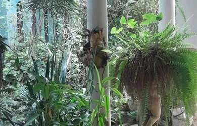 Imagem 7: 0 - Terreno 1 quarto - JACAREPAGUÁ